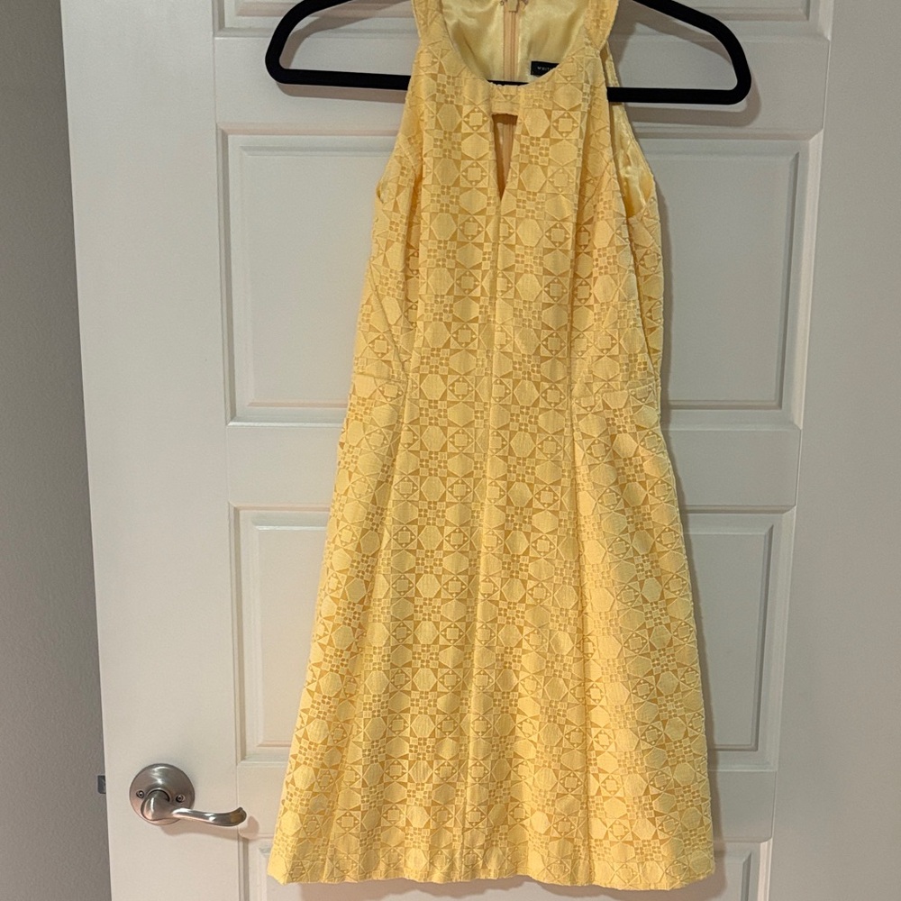 White House Black Market Sunlit Lace Backless Dress